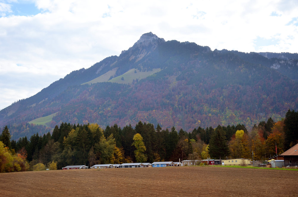 DSC_7384 — копия.JPG