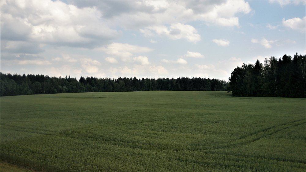 18.06.19_193_ Минск.JPG