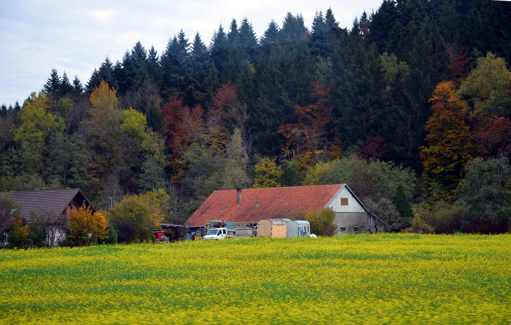 DSC_7389 — копия.JPG