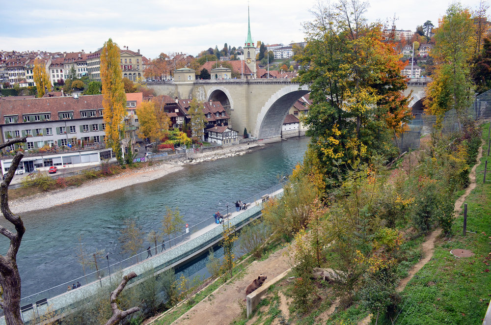 DSC_7571 — копия.JPG