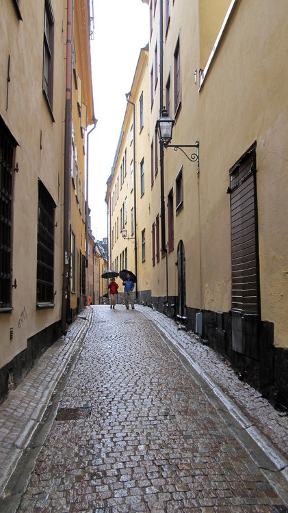 Копия IMG_1802.JPG