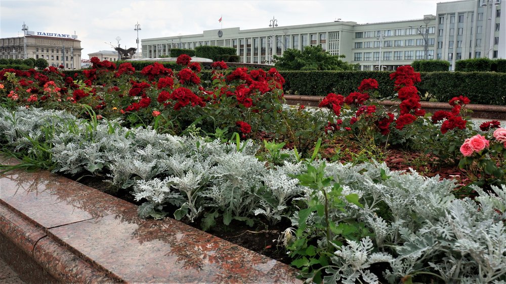 18.06.19_069_ Минск.JPG