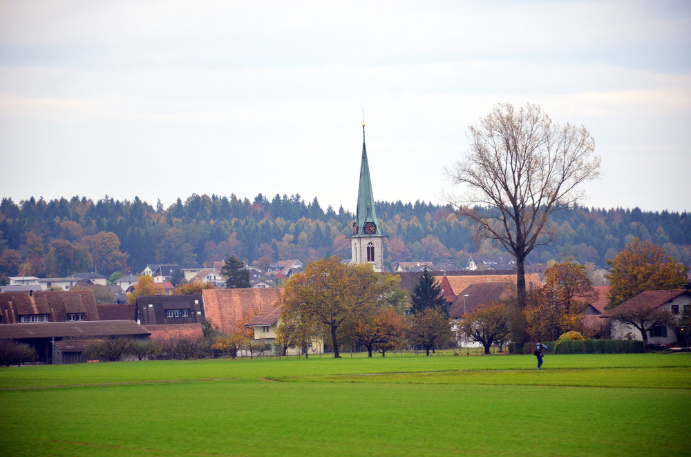 DSC_7911 — копия.JPG