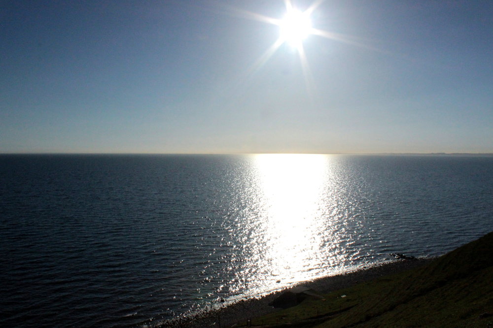 IMG_3335-ален стенар.jpg