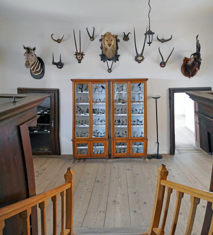 Панорама 11wv.jpg