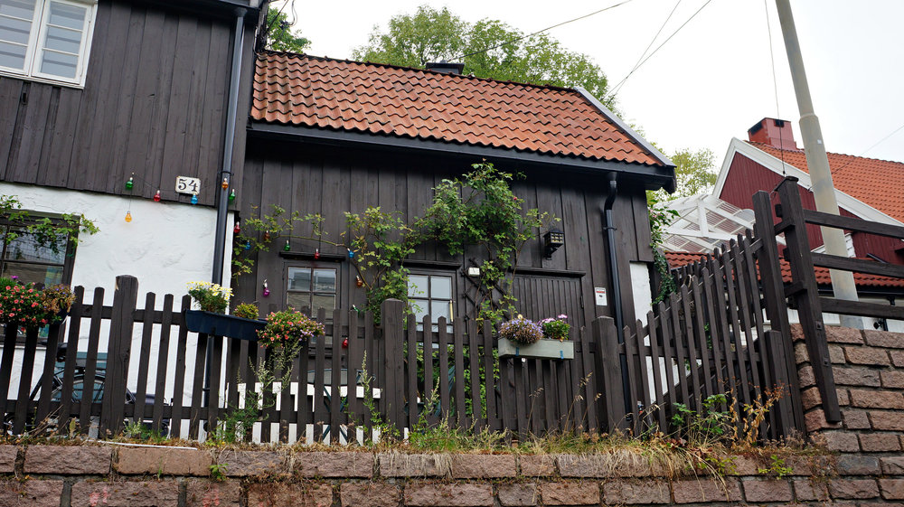 DSC041651 — копия.jpg