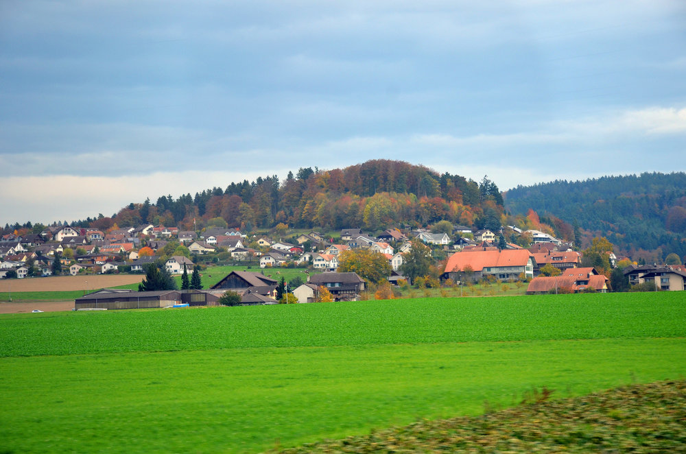 DSC_7873 — копия.JPG