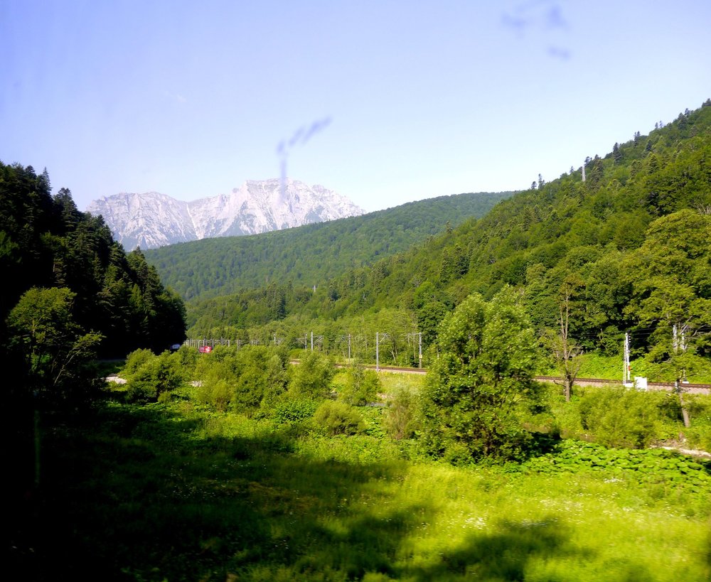 _1360174.JPG 2.jpg 2.jpg