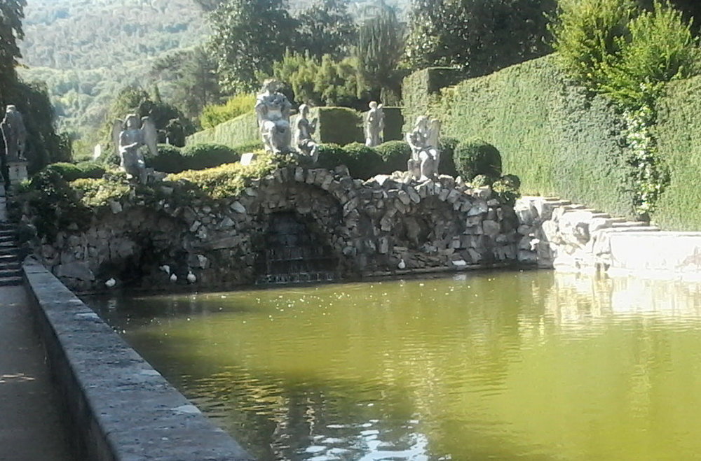 2016-08-25 15.45.02.jpg