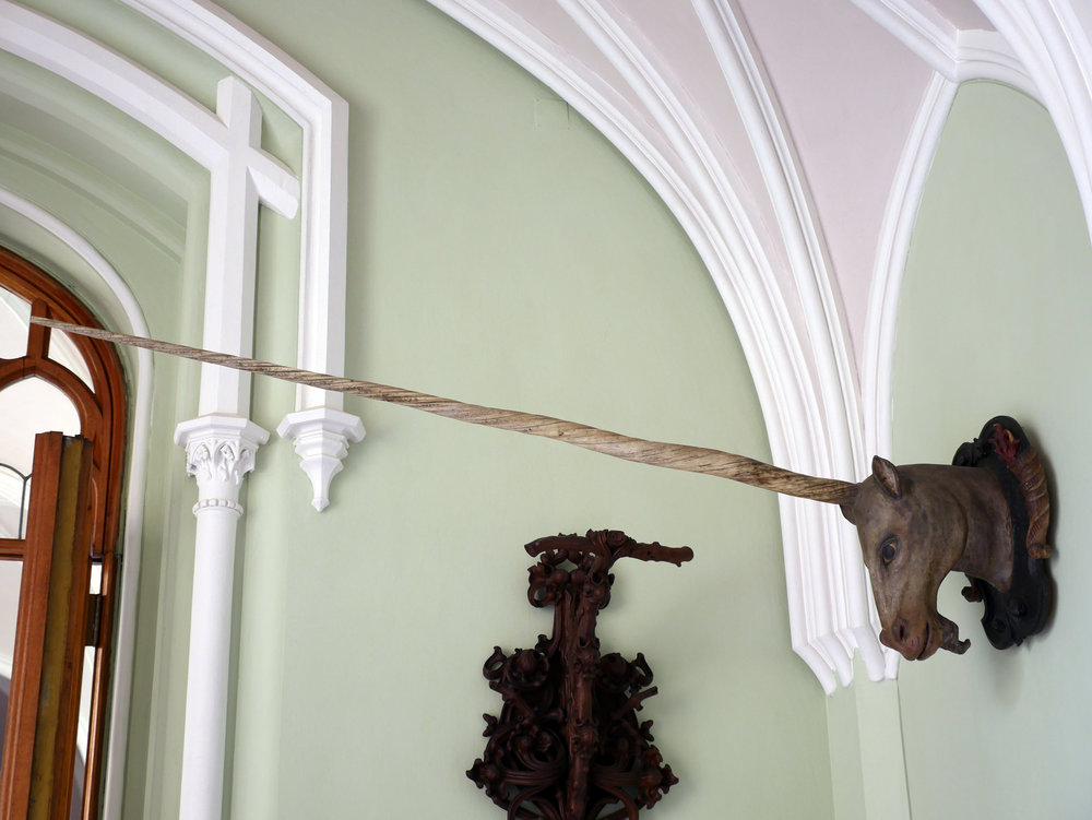 Photo at sector 9213859.jpg