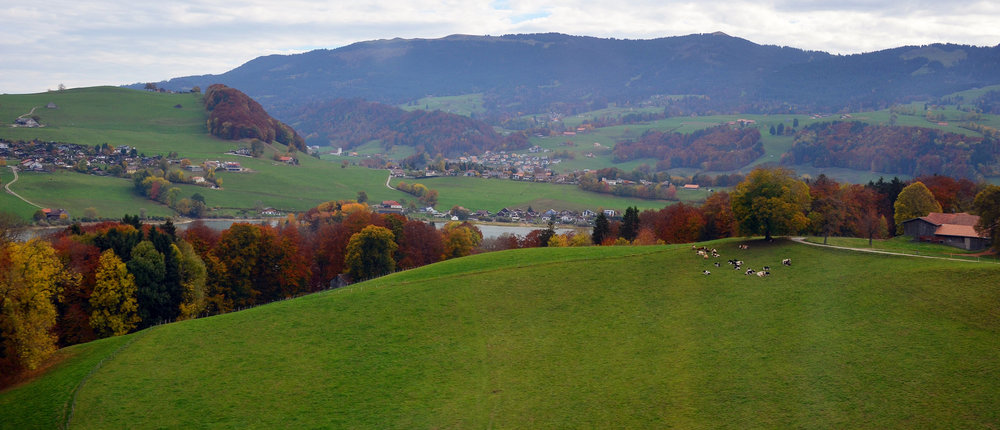 DSC_7434 — копия — копия.JPG