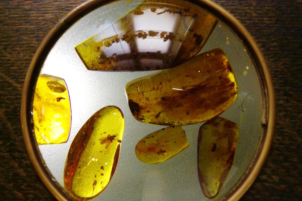 FullSizeRender (7).jpg