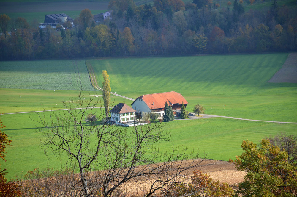 DSC_7205 — копия.JPG