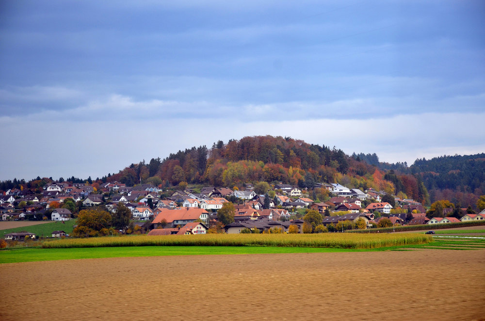 DSC_7868 — копия.JPG