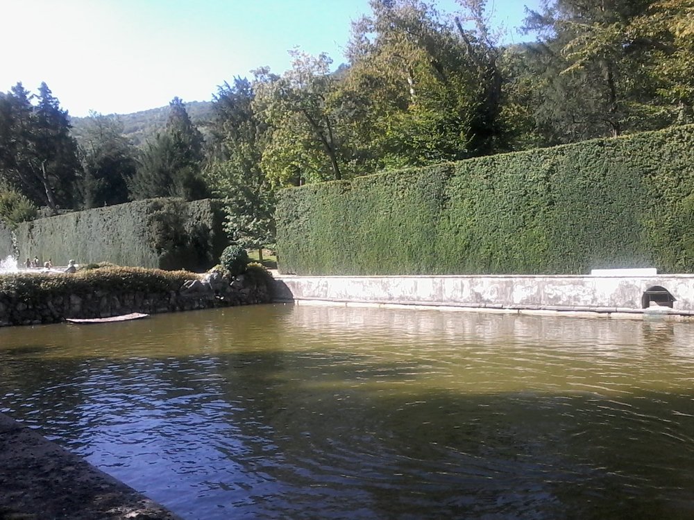 2016-08-25 15.43.31.jpg