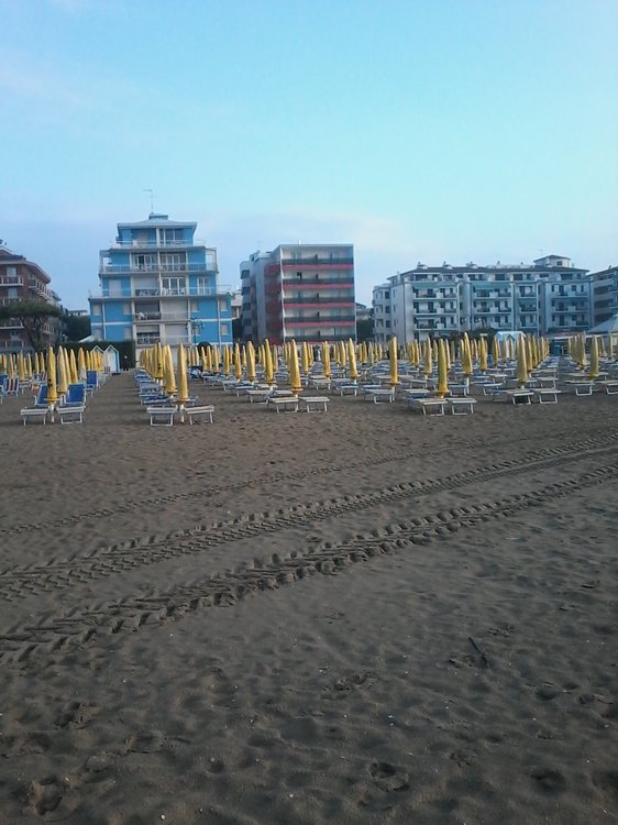 2016-08-21 07.15.41.jpg