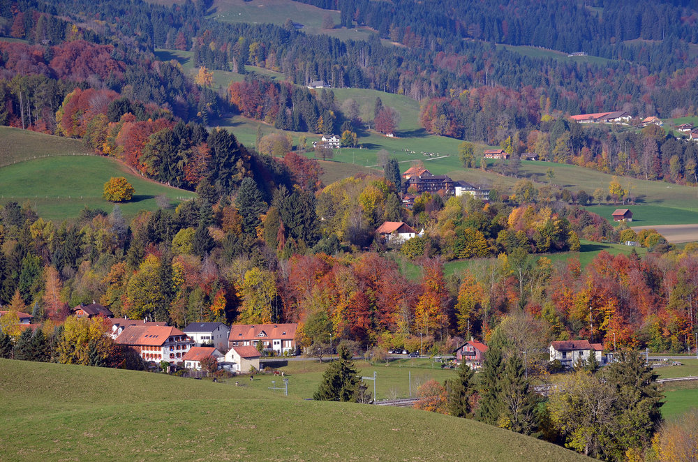 DSC_7104 — копия.JPG