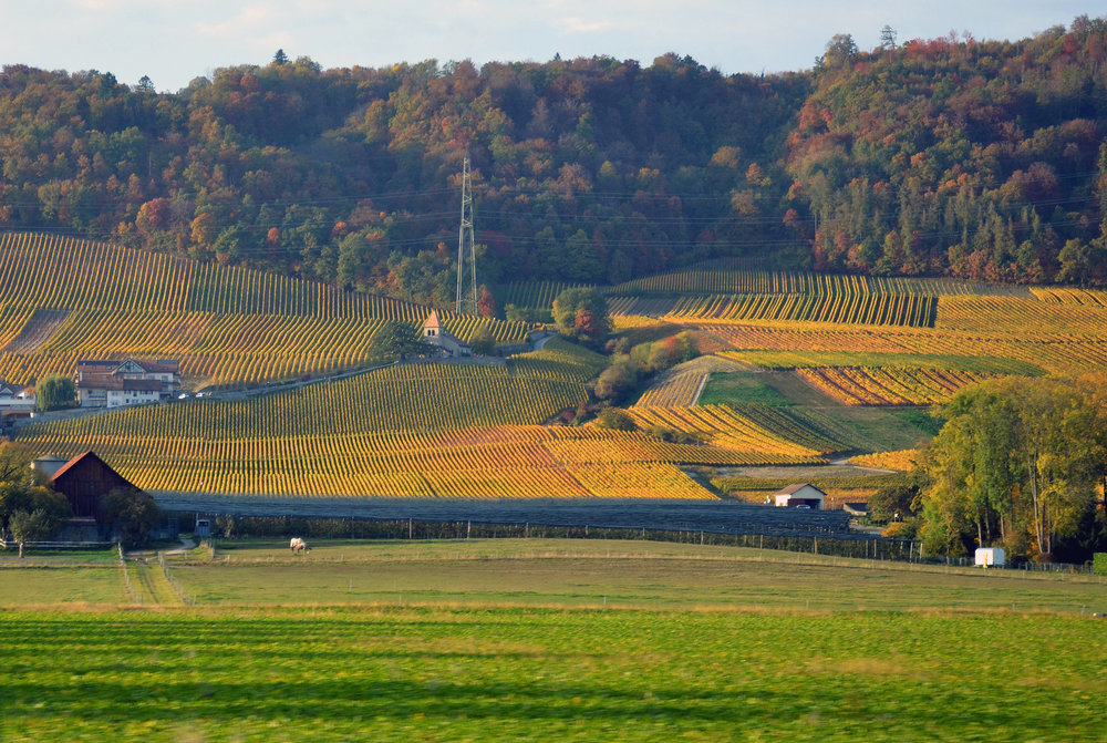 DSC_6728 — копия — копия.JPG