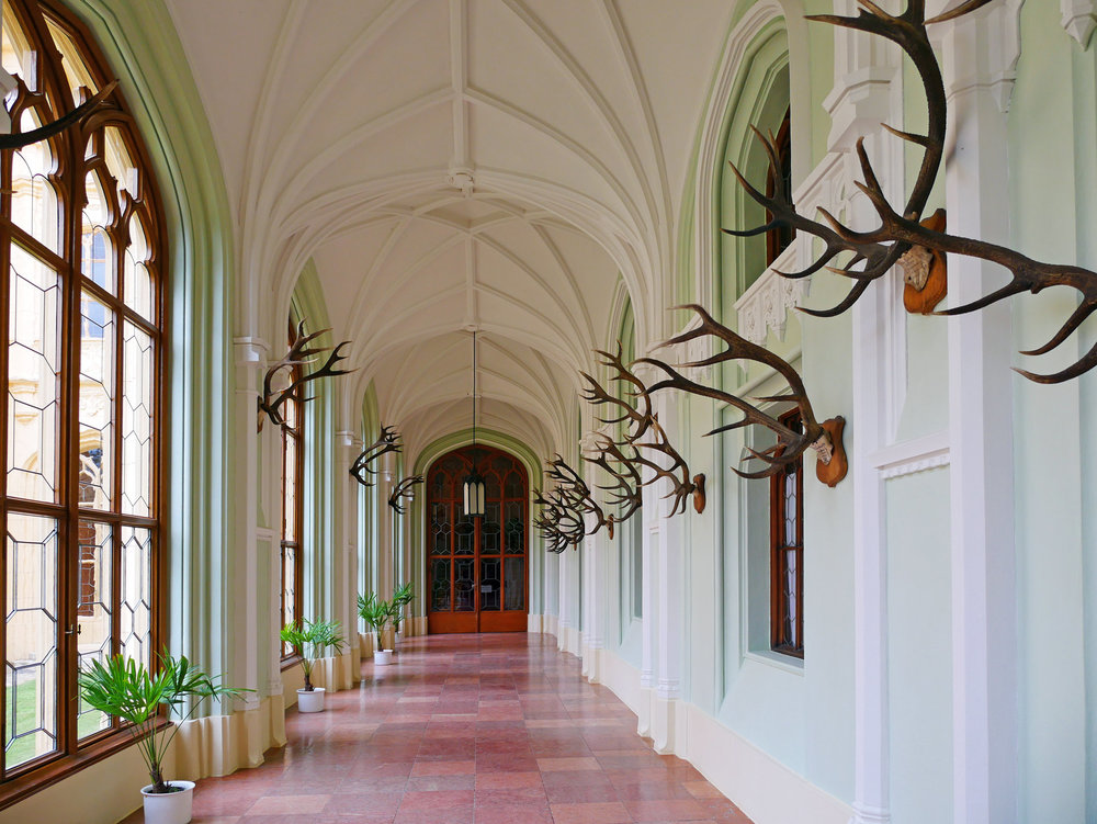 Photo at sector 8805155.jpg