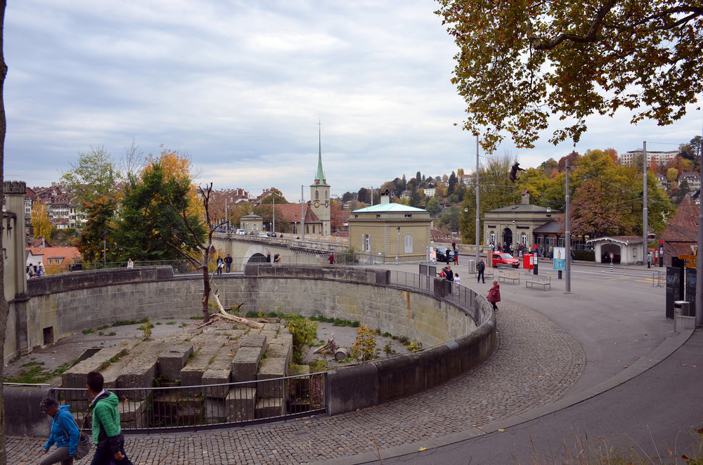 DSC_7554 — копия.JPG