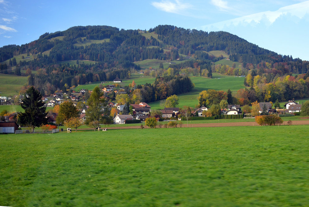 DSC_7061 — копия (2).JPG