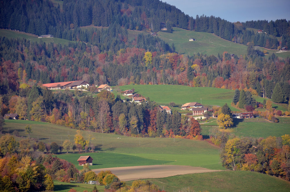 DSC_7102 — копия.JPG