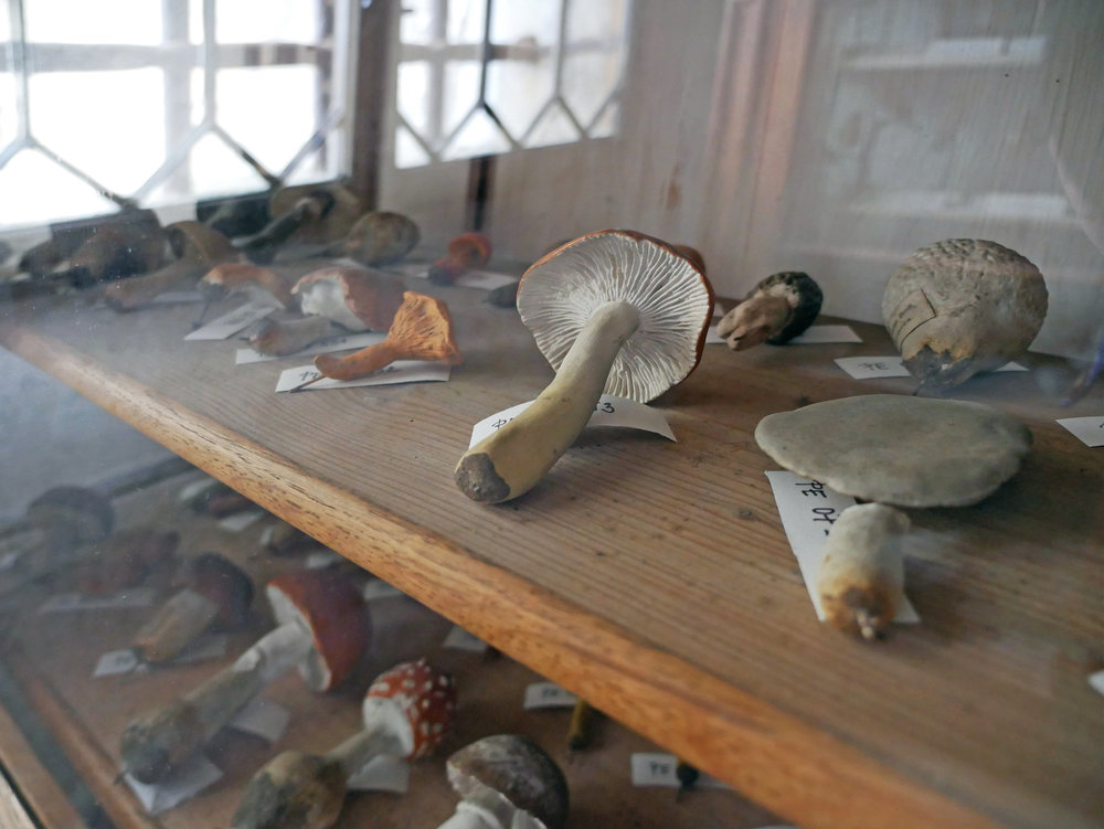 Photo at sector 7859811.jpg