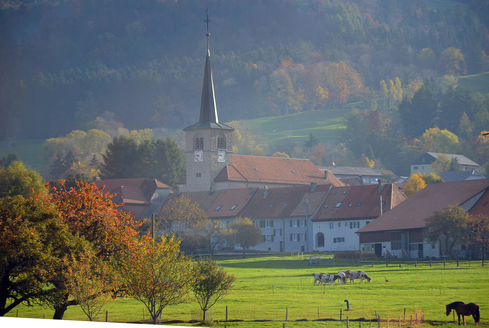 DSC_7034 — копия.JPG