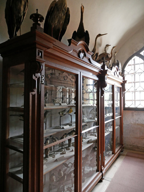 Photo at sector 7813795.jpg