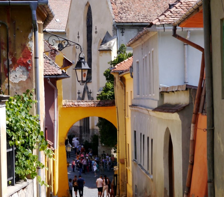 _1360043.JPG 2.jpg 2.jpg