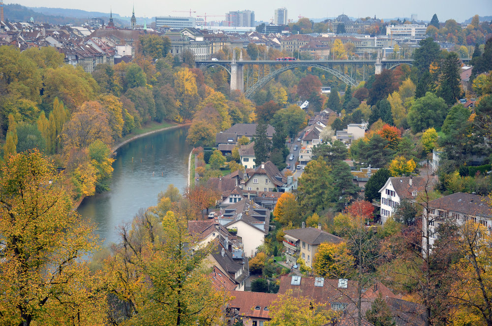 DSC_7824 — копия.JPG