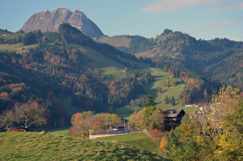 DSC_7097 — копия.JPG