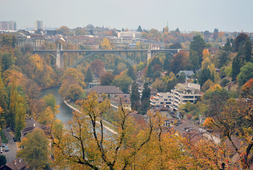 DSC_7809 — копия.JPG