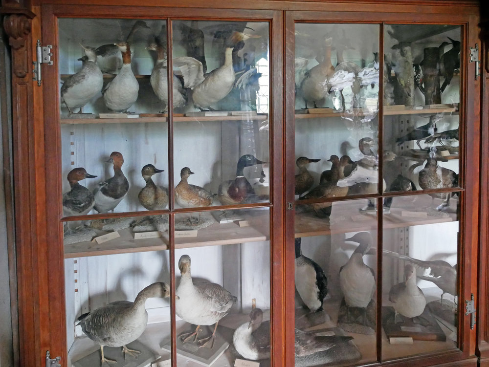 Photo at sector 7544163.jpg