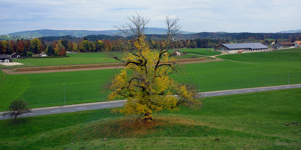 DSC_7334 — копия — копия.JPG