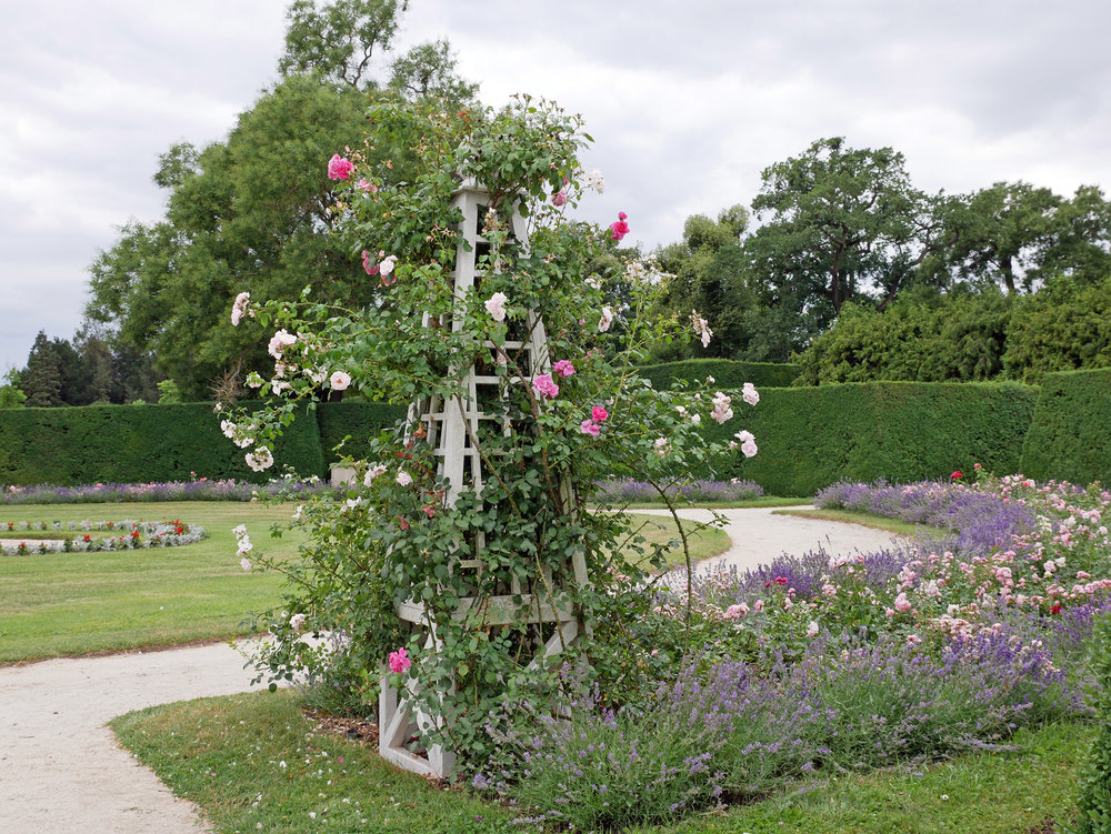 Photo at sector 12492451.jpg