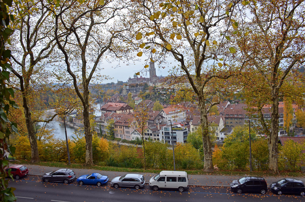 DSC_7799 — копия.JPG