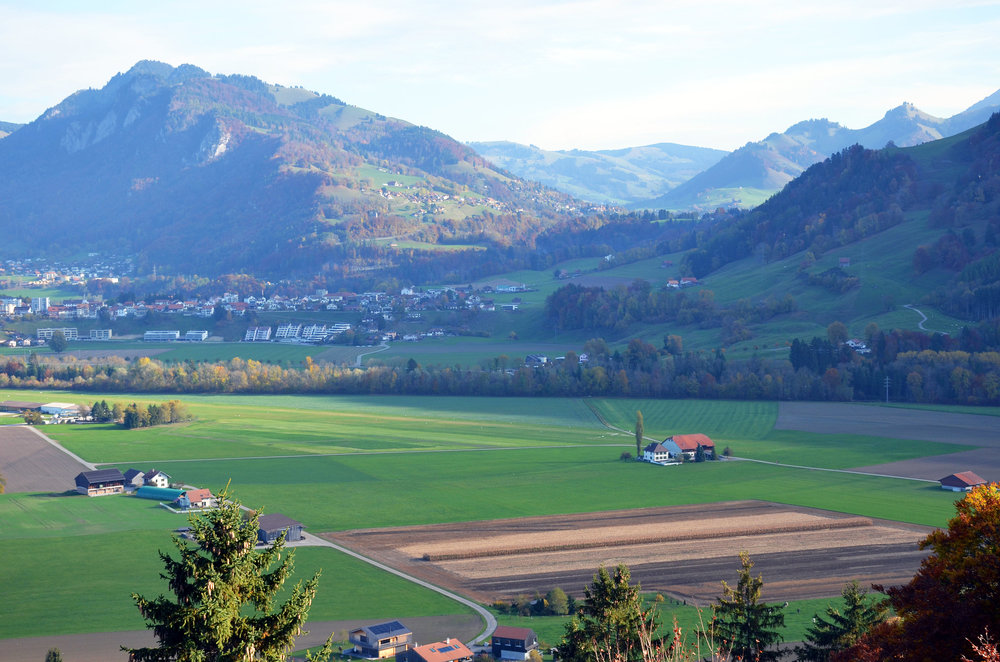 DSC_7182 — копия.JPG