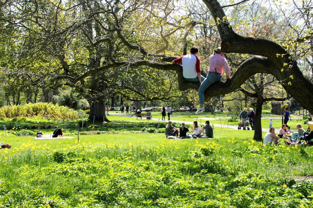 IMG_3236-лунд доб.jpg