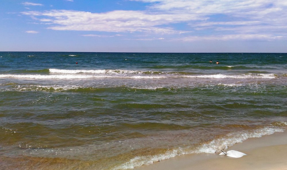 море с Куршской косы.jpg