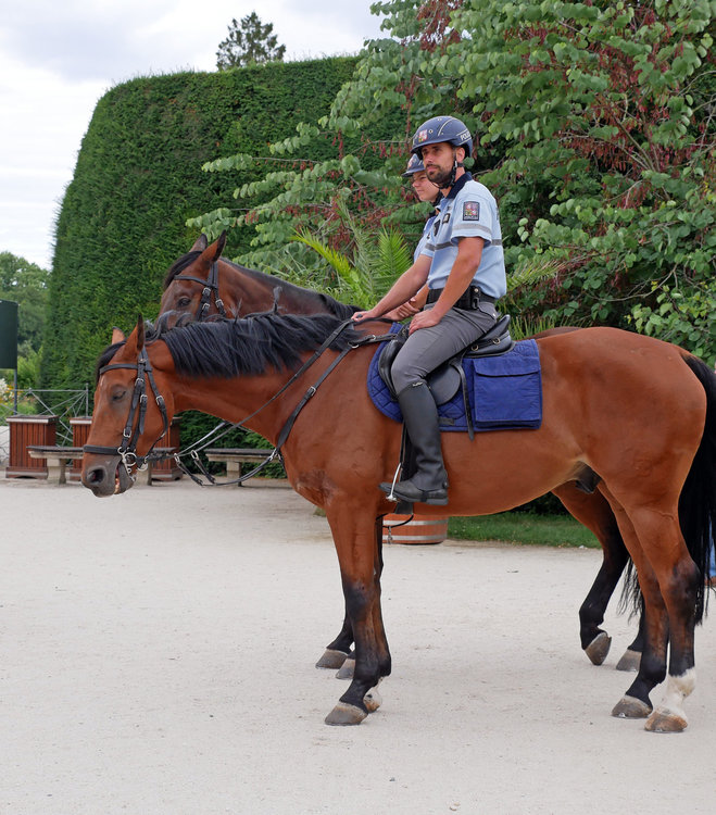 Photo at sector 12845731.jpg