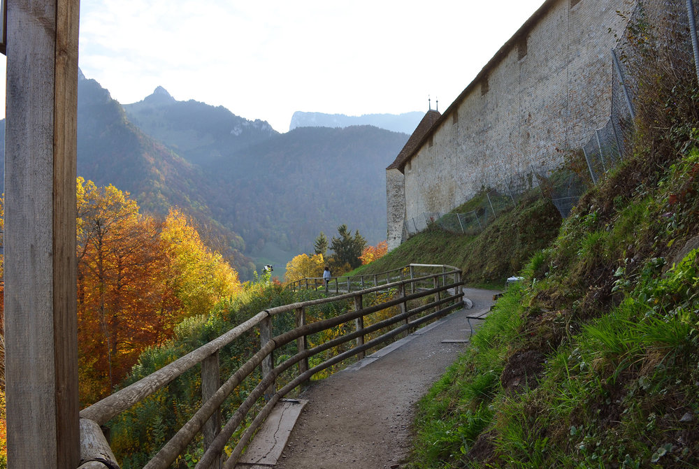 DSC_7181 — копия.JPG