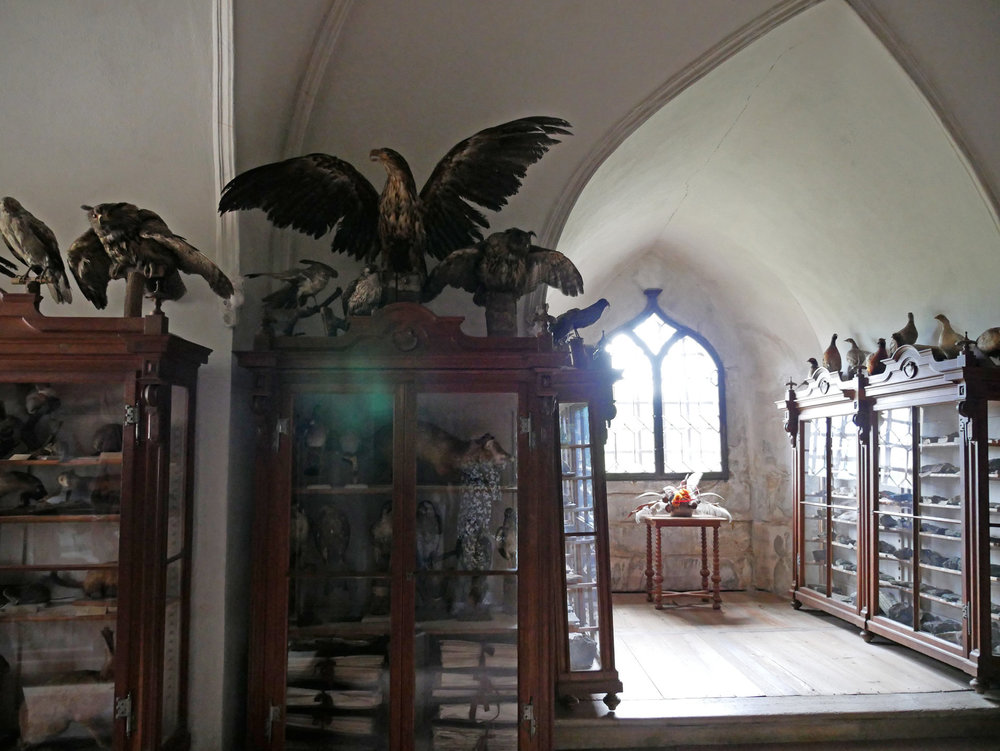 Photo at sector 7507683.jpg