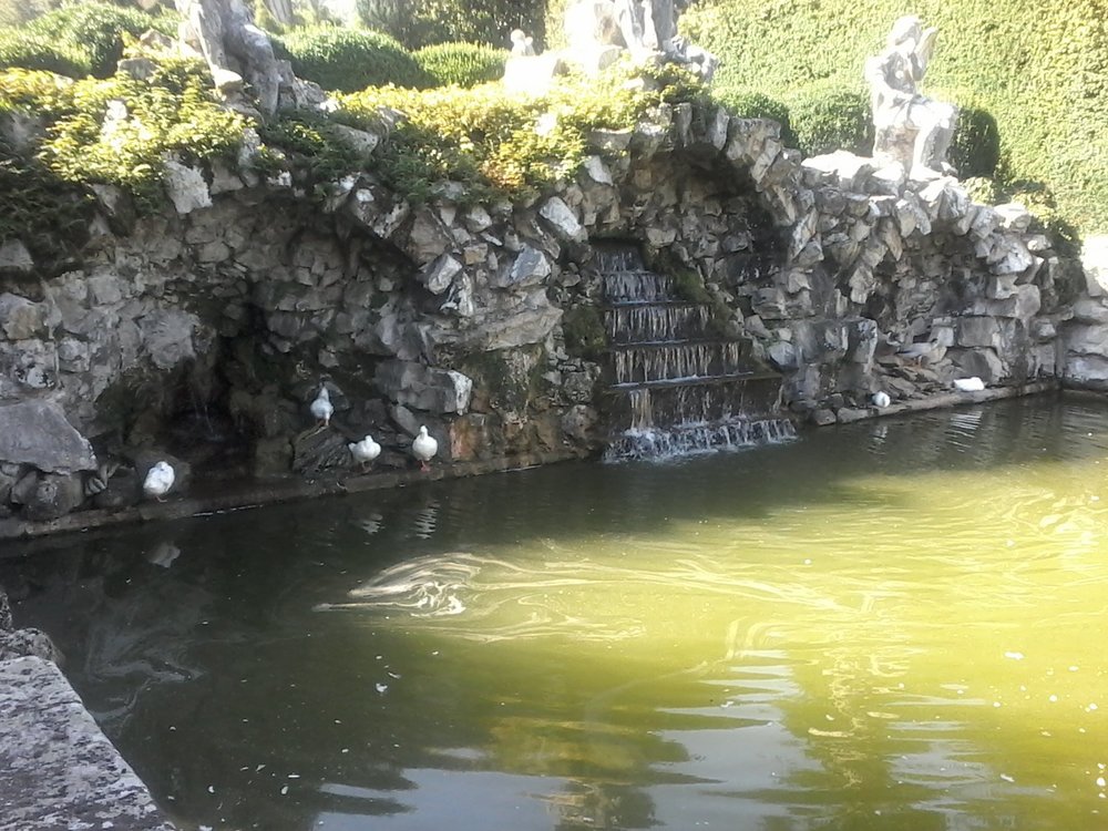 2016-08-25 15.46.15.jpg