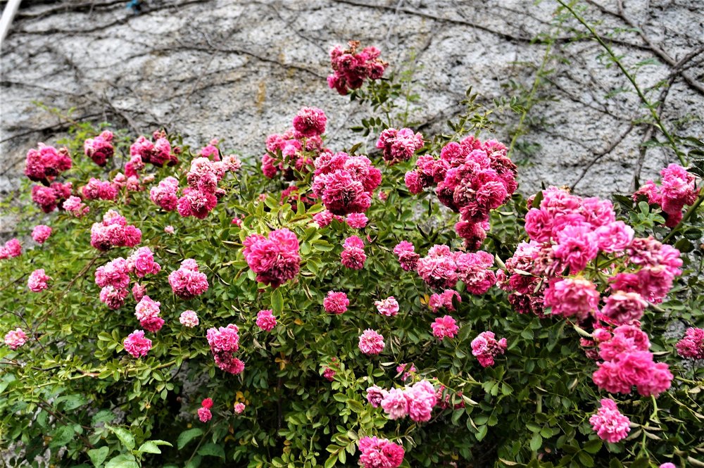 18.06.22_167_ СанктВольфганг.JPG