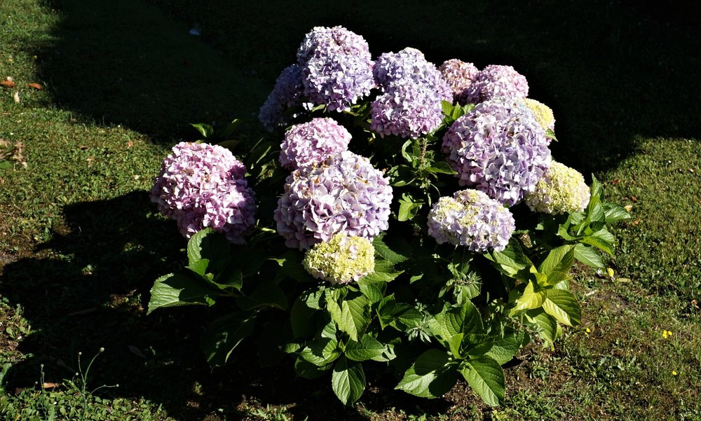 18.06.29_112_ Италия_Стреза.JPG