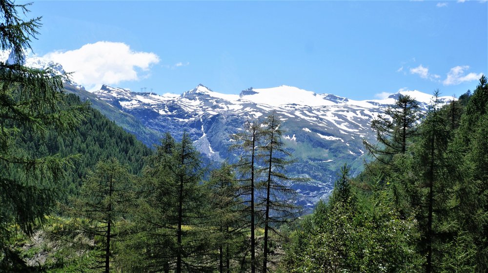 18.06.28_085_ Швейцария_ к Цирматту на поезде.JPG