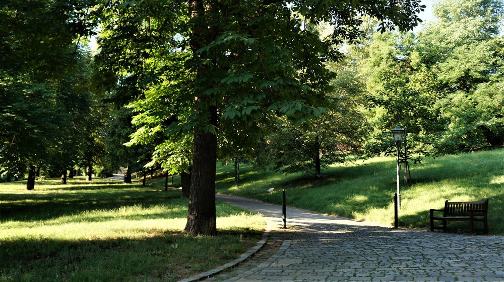 18.06.21_066_ Брно.JPG