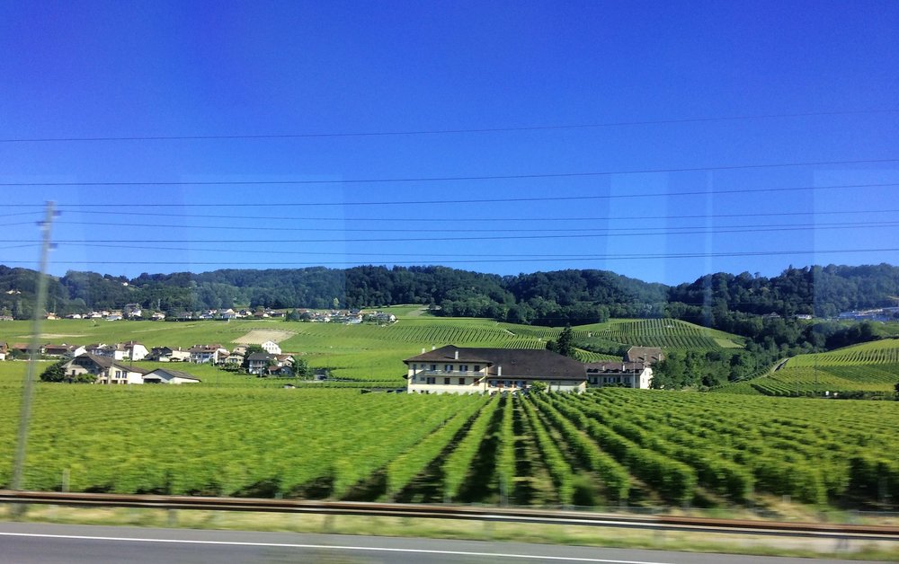 18.06.28_002_к г.Вильнев.JPG