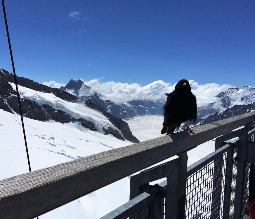 18.06.25_119_ Смотровая площадка Сфинкс.JPG